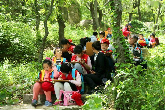 探索成长之路，自信与成就感的寻狗之旅
