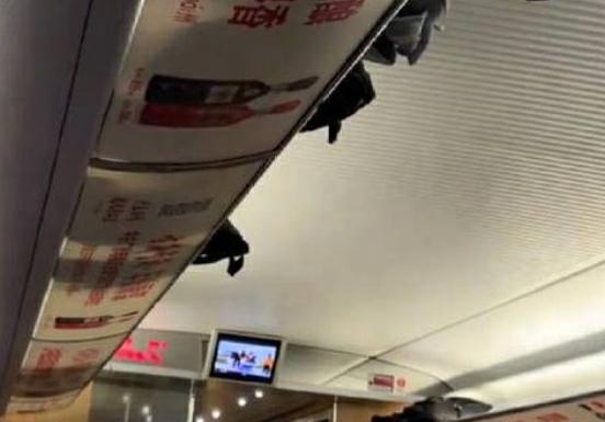2024年10月 第97页