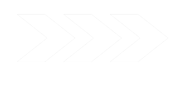 最新动态报道