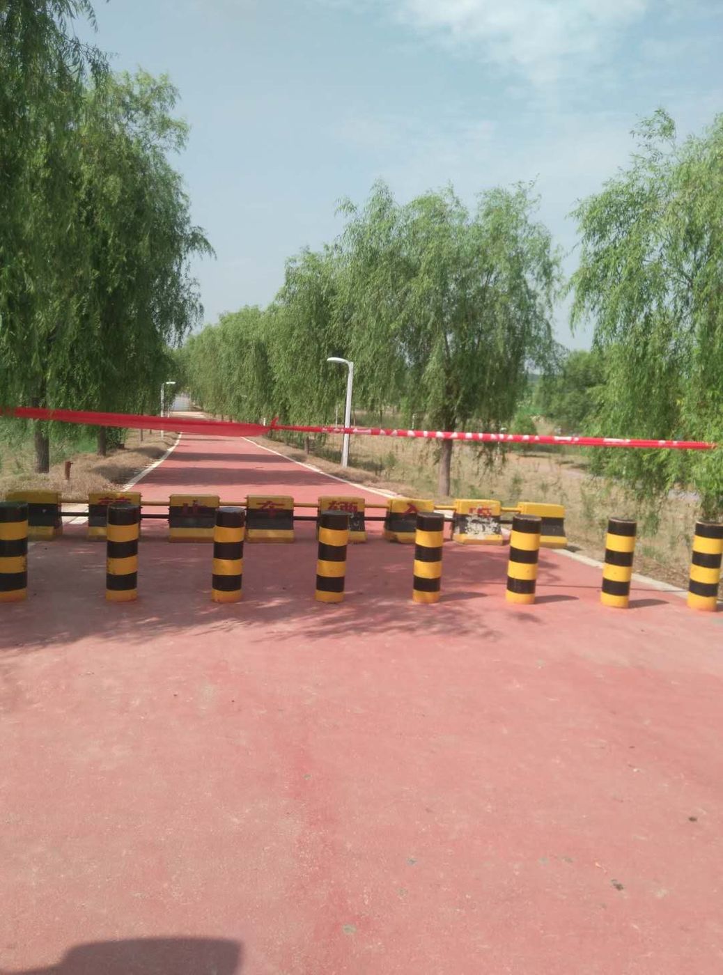 临渭公安行动最新动态,往年11月10日的工作纪实与进展