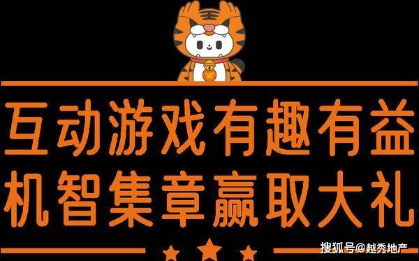 2024年11月13日 第6页