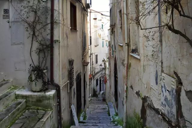 日照尚美城最新进展揭秘,特色小店与小巷深处的惊喜进展探索(2024年)