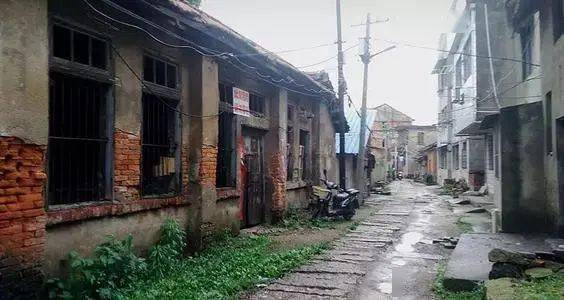 探秘枞阳房价历史与小巷独特风情,揭秘隐藏式特色小店的奇妙之旅