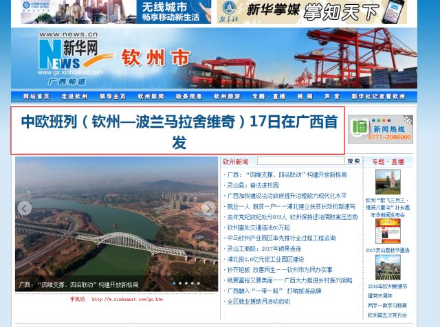 花开无言 第11页