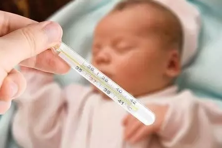 2025年1月 第560页
