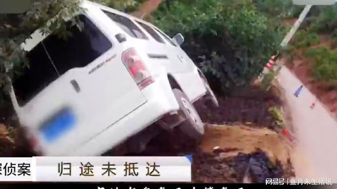 夯雀儿先飞 第2页