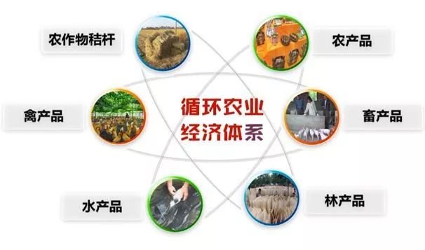 推行高效循环种养：种养循环农业发展理念及意义 