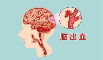 鸢飞戾天 第2页
