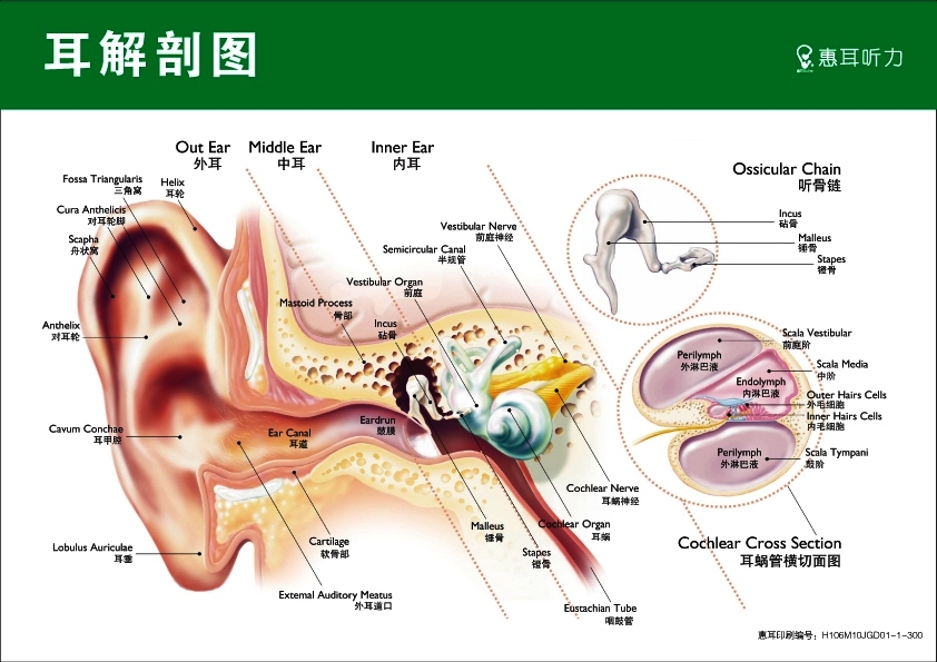 改弦易张 第2页
