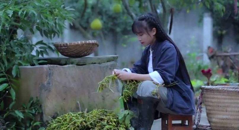 碧瓦飞甍