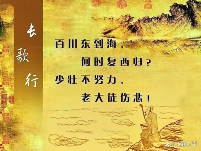飞墙走壁
