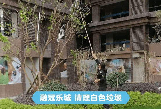 专辑 第7页