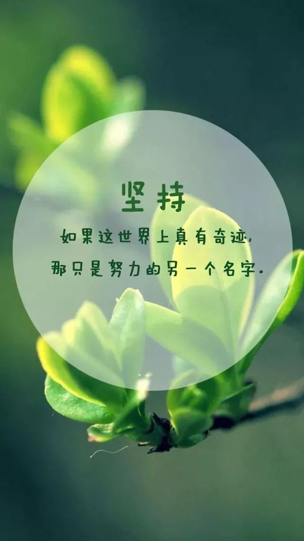 老柒励志语录，激励你的每一刻，心灵成长的必备宝典！