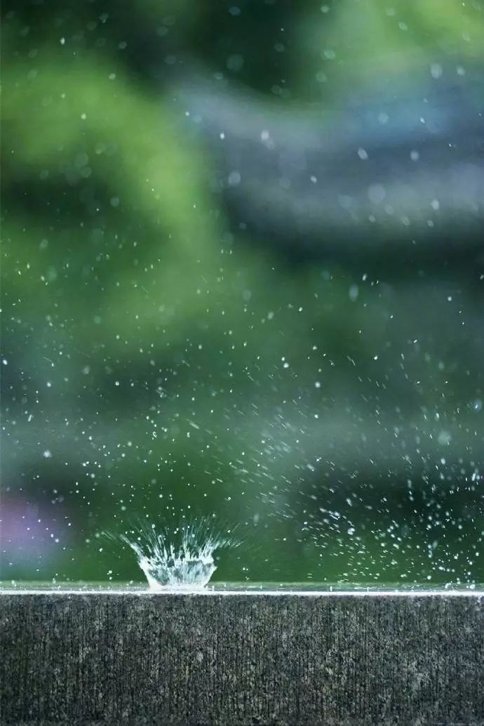 雨中情深，希望之线永不断